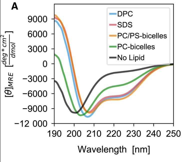 Mean residue ellipticity curves of proIAPP.jpg